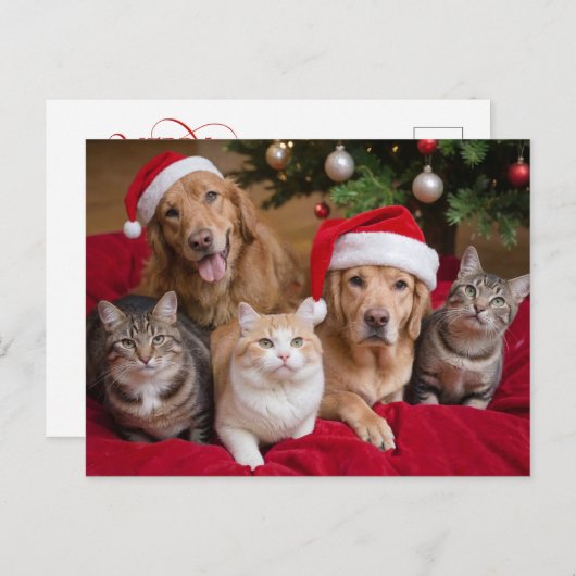 かわいいクリスマス猫と犬 シーズンポストカード (正面/裏面)