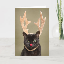 かわいいクリスマス猫トナカイの角 シーズンカード