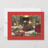 かわいいクリスマス猫 シーズンカード (正面)