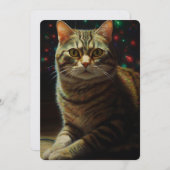 かわいいクリスマス猫 シーズンカード (正面/裏面)