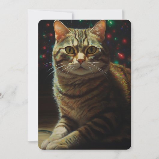 かわいいクリスマス猫 シーズンカード (正面)