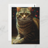 かわいいクリスマス猫 ポストカード (正面/裏面)