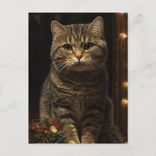 かわいいクリスマス猫 ポストカード (正面)