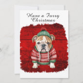 かわいいクリスマス衣装ブルドッグレッドスノーフレーク (正面)