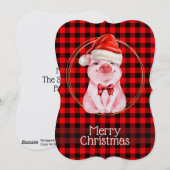 かわいいクリスマス豚 バッファロープレイド 赤 おもしろいホ シーズンカード (正面/裏面)