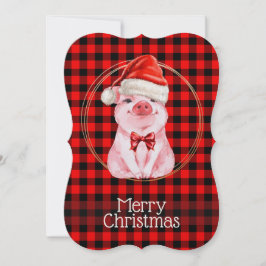 かわいいクリスマス豚 バッファロープレイド 赤 おもしろいホ シーズンカード