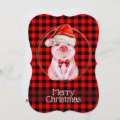 かわいいクリスマス豚 赤いユーモアのあるホ シーズンカード (正面/裏面)