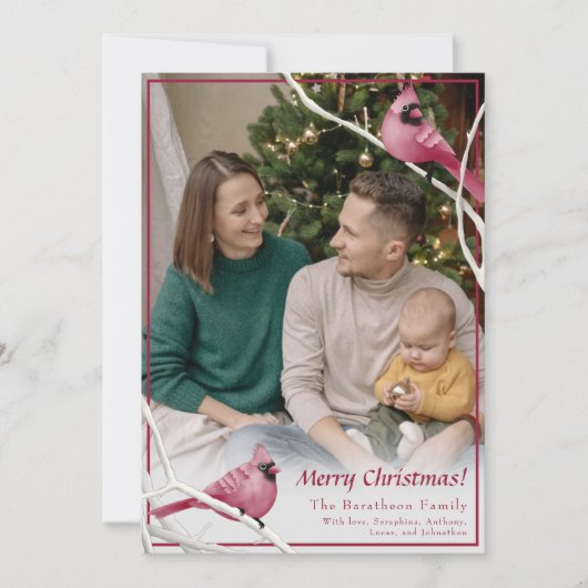 かわいいクリスマス（鳥）ショウジョウコウカンチョウバードファミリーフォト シーズンカード (正面)