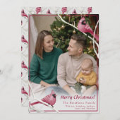 かわいいクリスマス（鳥）ショウジョウコウカンチョウバードファミリーフォト シーズンカード (正面/裏面)