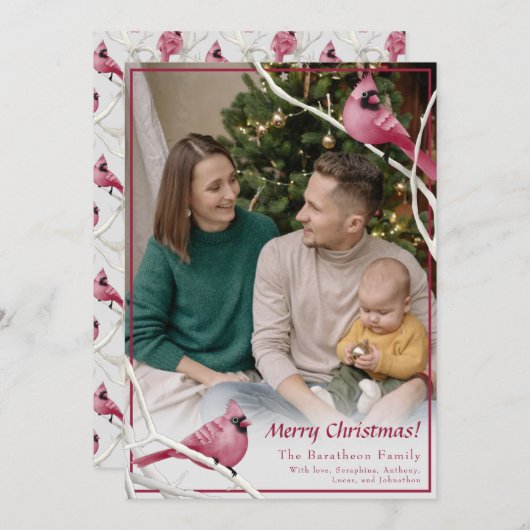 かわいいクリスマス（鳥）ショウジョウコウカンチョウバードファミリーフォト シーズンカード (正面/裏面)