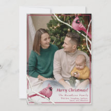 かわいいクリスマス（鳥）ショウジョウコウカンチョウバードファミリーフォト