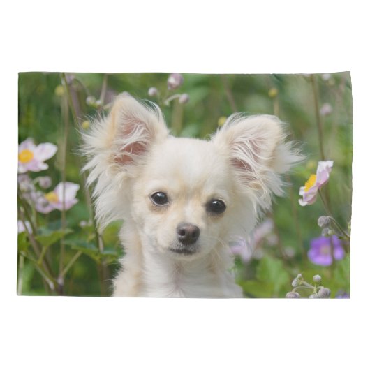 かわいいクリームチワホアドッグパピーポートレート写真 –  枕カバー (裏面)