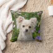 かわいいクリームチワホアドッグパピー写真 –  クッション (ブランケット)