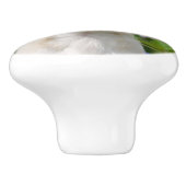 かわいいクリームチワホアドッグパピー写真 – セラミックノブ (側面)