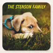 かわいいクローズアップ子犬 スクエアペーパーコースター (正面)