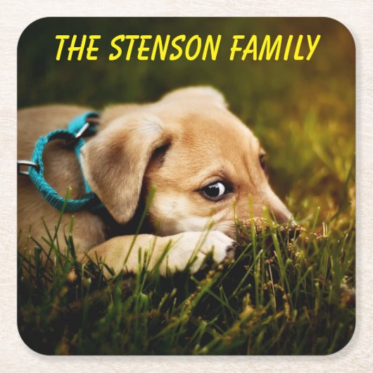 かわいいクローズアップ子犬 スクエアペーパーコースター (正面)