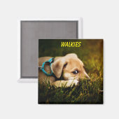 かわいいクローズアップ子犬 マグネット (正面/裏面)