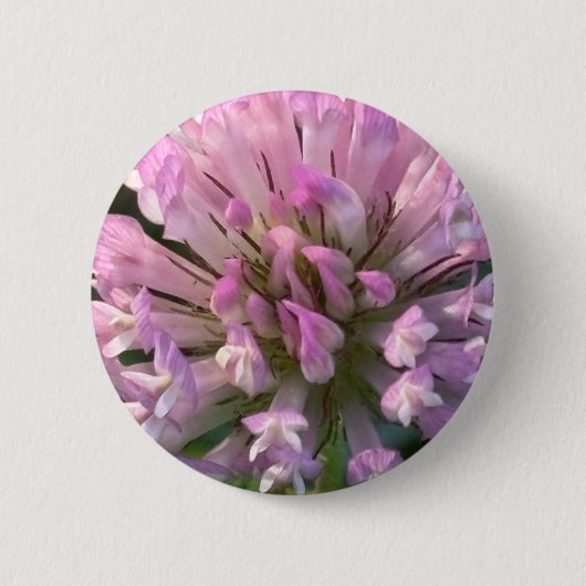 かわいいクローバーの花 缶バッジ (正面)