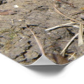 かわいいクロールトッドプリント ポスター (角)