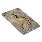 かわいいクロールトッドプレミアムマグネット マグネット (右側)