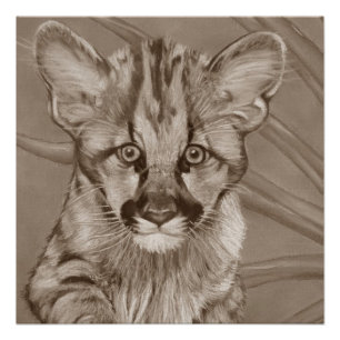 かわいいクーガーの子ネコの大きな猫の野性生物の絵画 ポスター