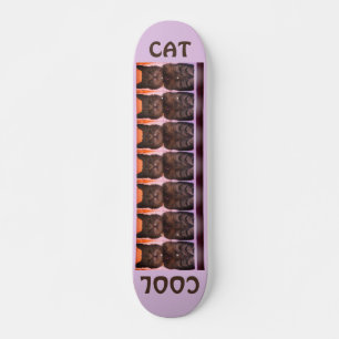 かわいいクールキャット スケートボード
