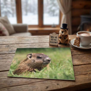 かわいいグラウンドホッグが緑の草から顔を出す写真 ポストカード