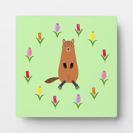 かわいいグラウンドホッグとチューリップの花 フォトプラーク (正面)