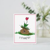 かわいいグラウンドホッグ探し春 シーズンポストカード (スタンド正面)