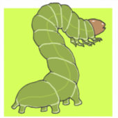 かわいいグリーンキャタピラーシール シール (正面)