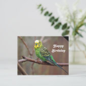 かわいいグリーンパラキートの写真の誕生日 ポストカード (スタンド正面)
