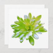 かわいいグリーンフローラグリーンフラワーグリーンデイジー 招待状 (正面/裏面)