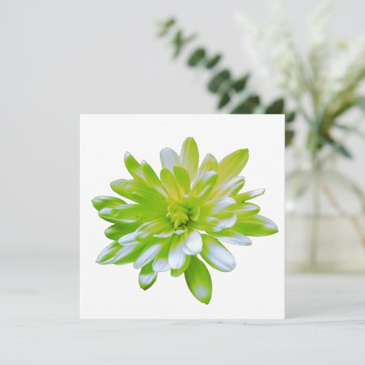 かわいいグリーンフローラグリーンフラワーグリーンデイジー 招待状 (スタンド正面)