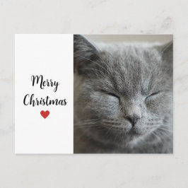 かわいいグレイのねむねむ猫のクリスマスホリデーラブ シーズンポストカード