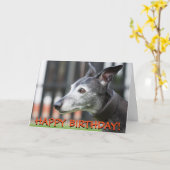 かわいいグレイハウンドのグリーティングカード カード (黄色い花)