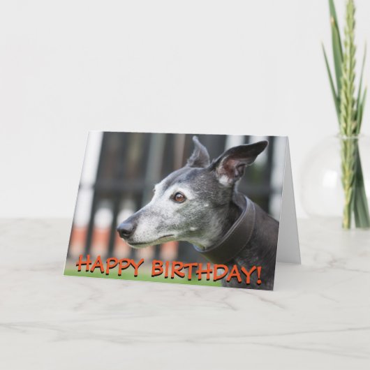 かわいいグレイハウンドのグリーティングカード カード (正面)