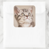 かわいいグレーのイギリス短髪の子猫(ブルー虎猫) スクエアシール (バッグ)