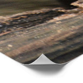 かわいいグレーのオーター ポスター (角)