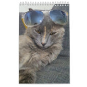 かわいいグレーの猫の写真2025 カレンダー (カバー)