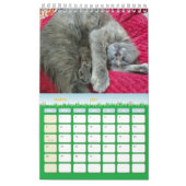 かわいいグレーの猫の写真2025 カレンダー (3月 2027)
