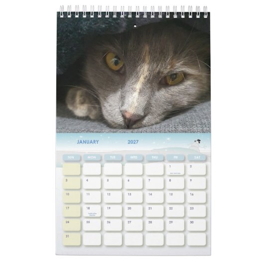 かわいいグレーの猫の写真2025 カレンダー (1月 2027)