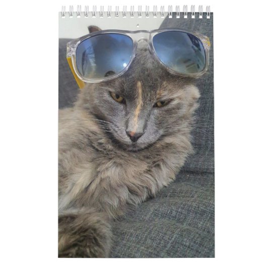 かわいいグレーの猫の写真2025 カレンダー (カバー)