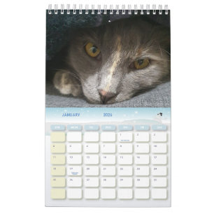 かわいいグレーの猫の写真2025 カレンダー