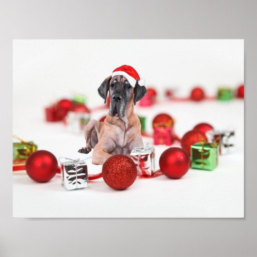 かわいいグレートデン犬のクリスマスサンタ帽子 ポスター (正面)