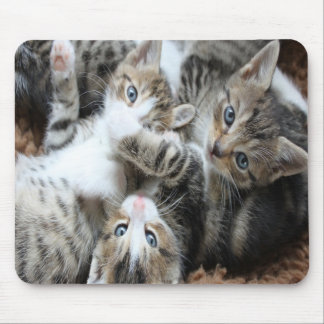 かわいいグレー三毛の子猫/ペットの写真をアップロード マウスパッド