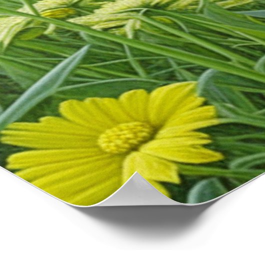 かわいいグレー猫とイエローアイアート ポスター (角)