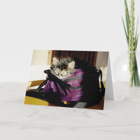 かわいいグレー考えの子猫の財布カスタム カード (正面)