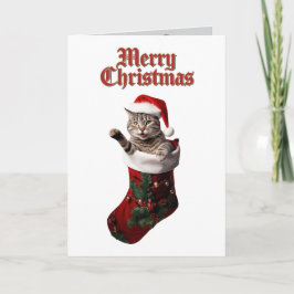 かわいいグレー+タビー猫のクリスマス シーズンカード