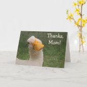 かわいいグースマザーズデイ カード (黄色い花)