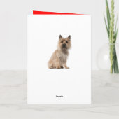 かわいいケアンテリアの犬の誕生日カード サンキューカード (裏面)